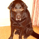 Юрий Свищев