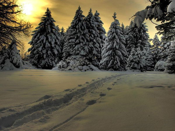 Владимир Ситников