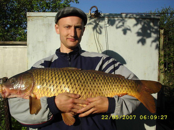 Алексей Дубинцев