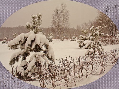 Грант Заргарян