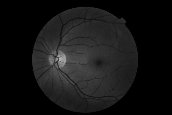 Максим Торопов