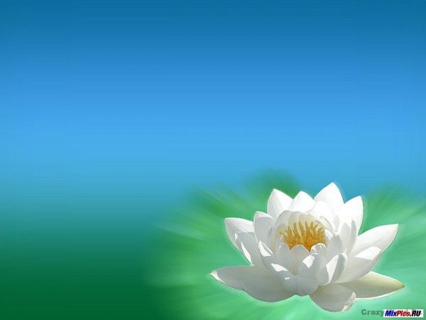 Ольга Бугалтер