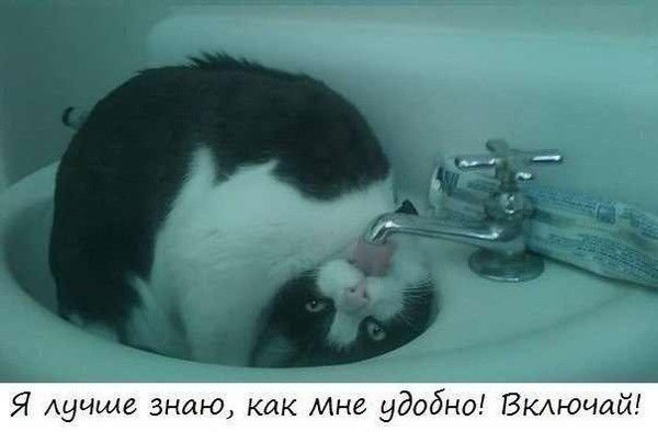 Анатолий Crasnoperov