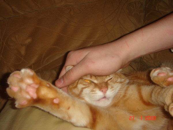 Владимир Зырянов