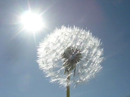 Марина Сорокина