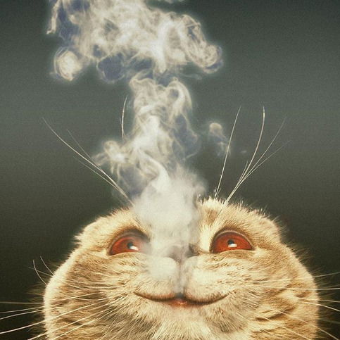 Алексей Афонин!