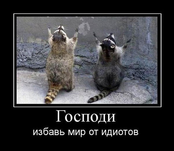 Александр Кульчик