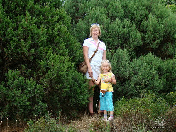 ***наталья ********