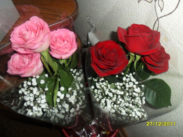 Николай Бархатенко