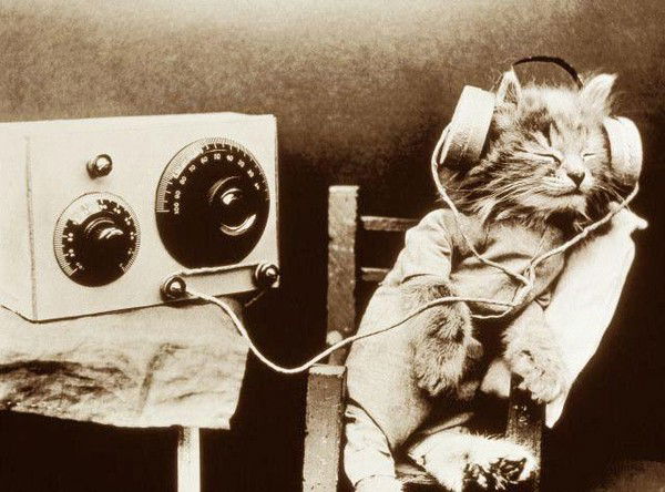 Толеген Тескембаев