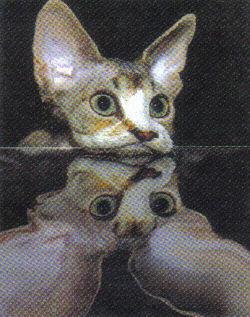 Михаил Тихонов