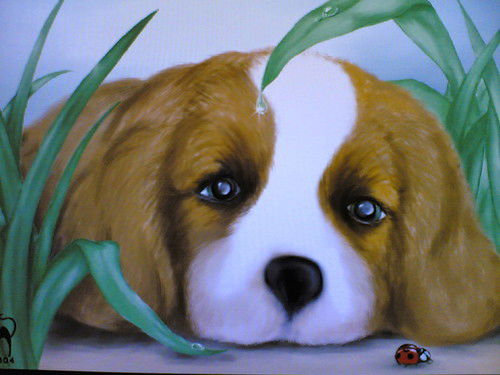 Константин Ш.