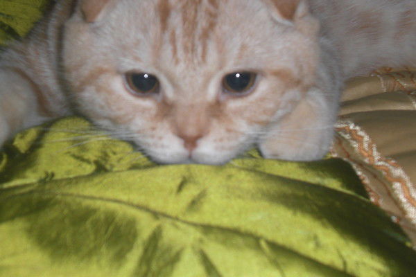 Lili (Ляля) Karimova