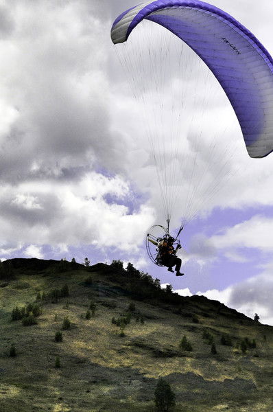 Роман Пестриков