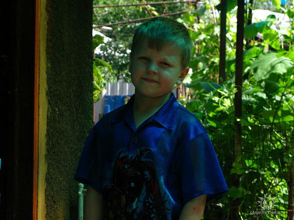 Никита Нелюбов