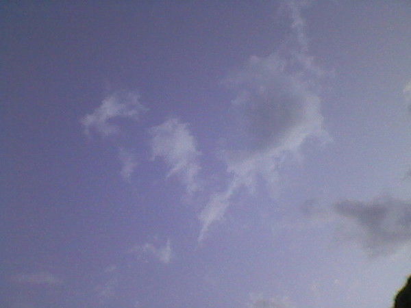 Наталья Осипова