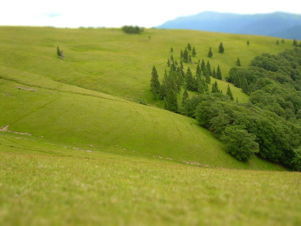 Ксения Гевель