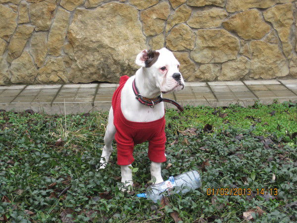 Валера Евсегнеев