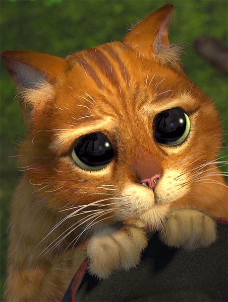 Мартовский Кот