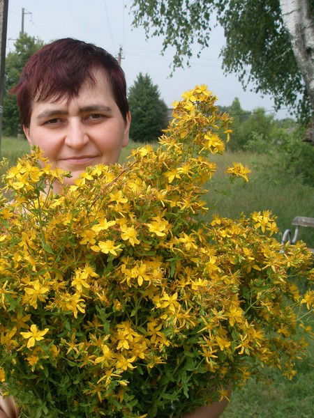 Света Бирюкова