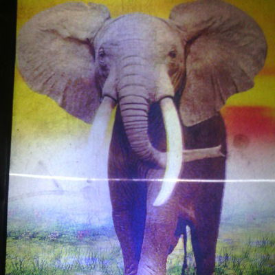 Зоя Бадмаева