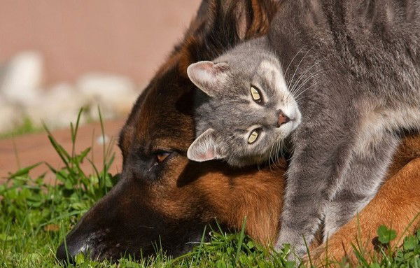 Раиса Борисовна