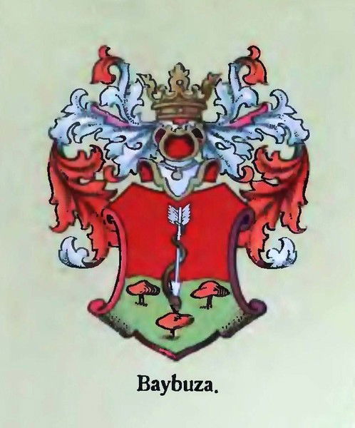 Виктор Байбуза