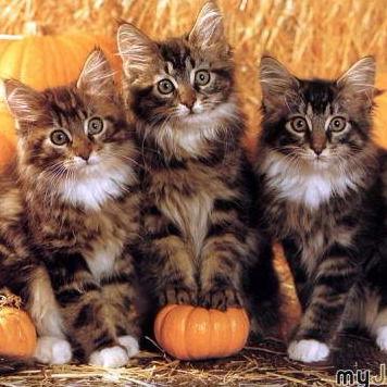 Яна Хвастунова