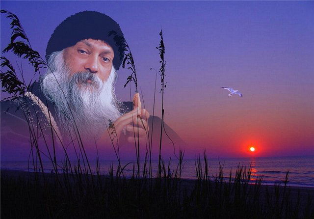 Виктор _______