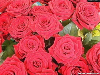 Анюта Солодкова