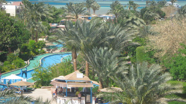 Ольга Комиссарова