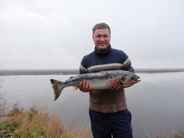 Антон Антушев