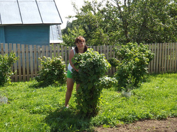 Олеся Наумова