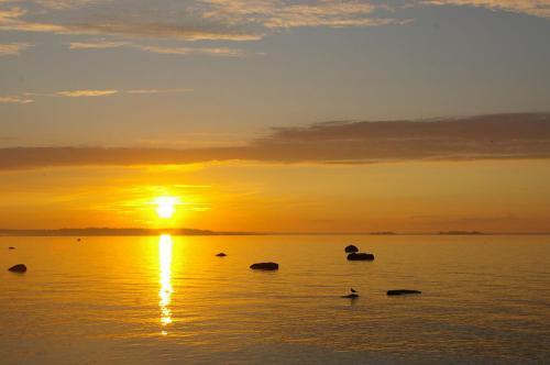 Алевтина Куропаткина