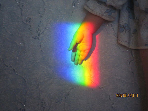 Елена Борисова