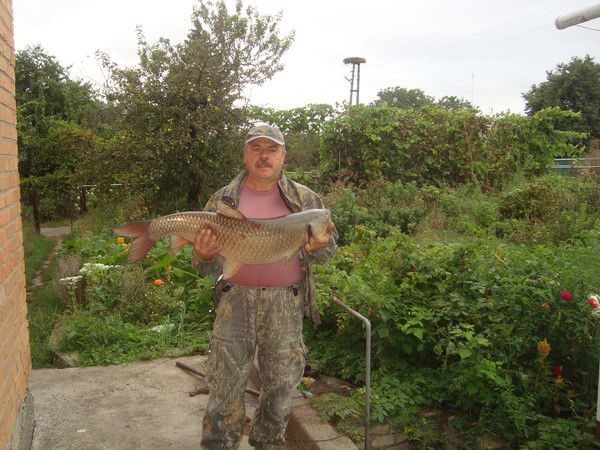 Александр Запара