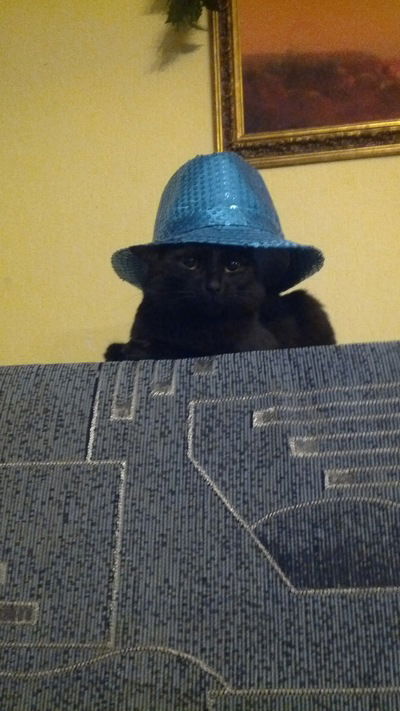 Денис Суховеев