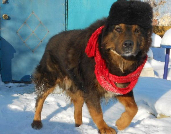 Вера Филатова