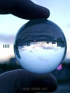 Виталий Тризна