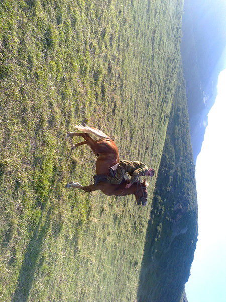 Нурсултан Толегенулы