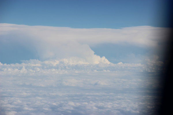 Петр Языков