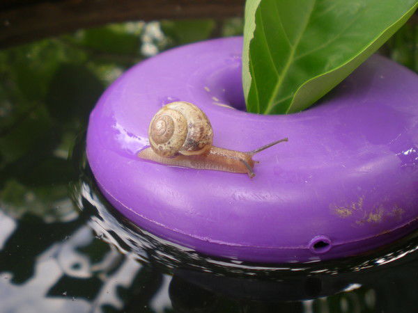 Светлана Иванова