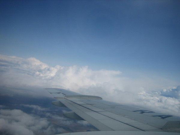 Регина Садовникова