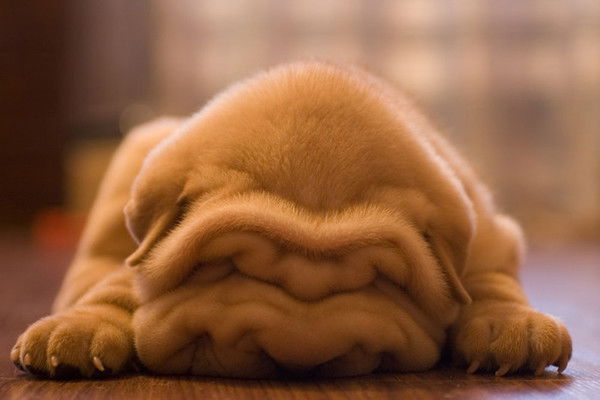 Руслан Лавринов