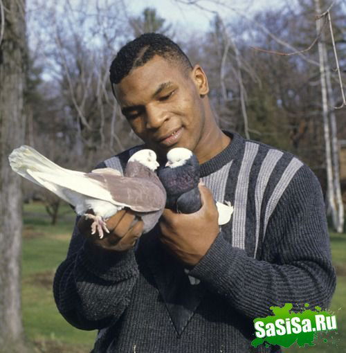 Михаил Агеев