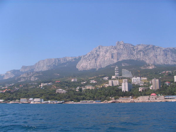 Кук Европеец