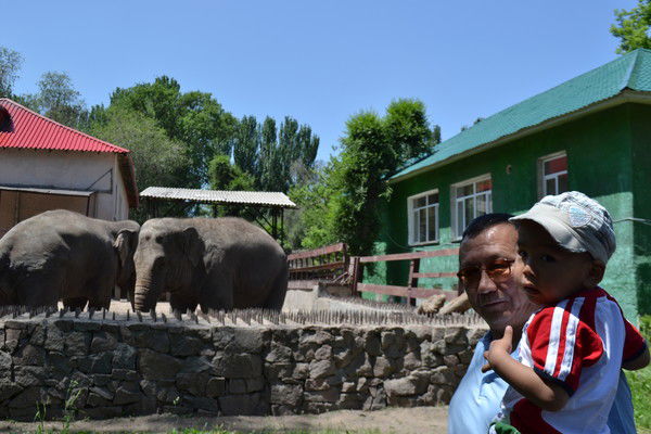 Амирхан Айменов