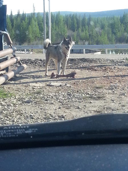 Николай Демьянов