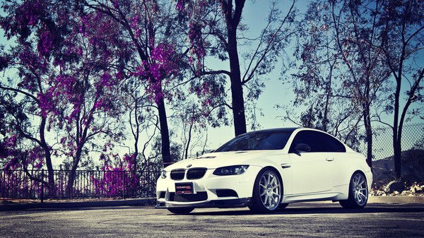 Маша Новикова