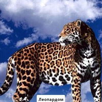 Максим Комбаров